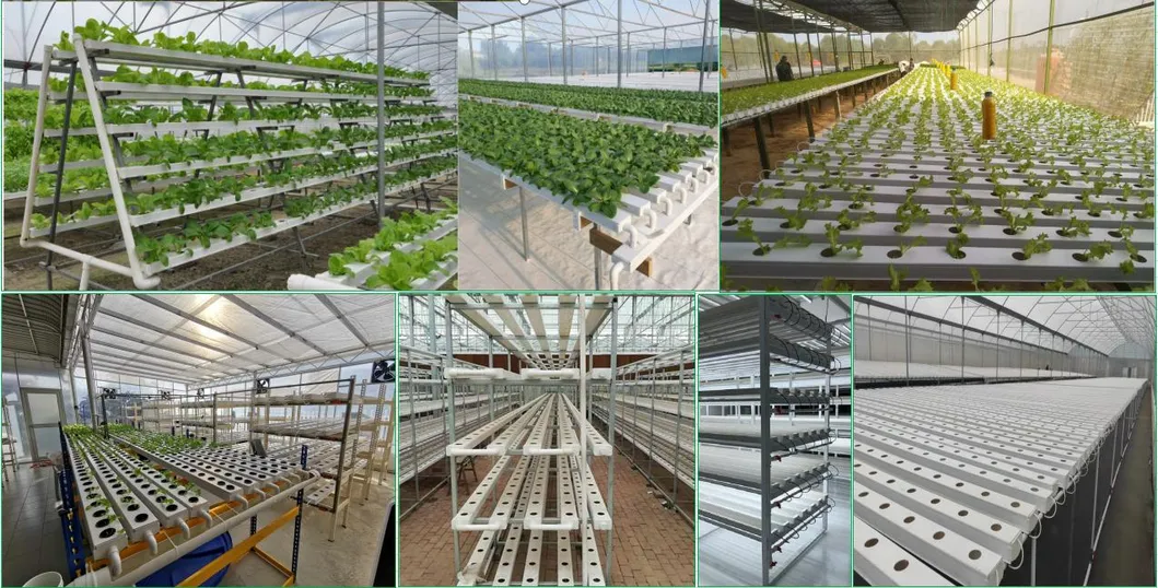 Professional Manufacturer Supply Hydroponic Nft Square PVC Pipe