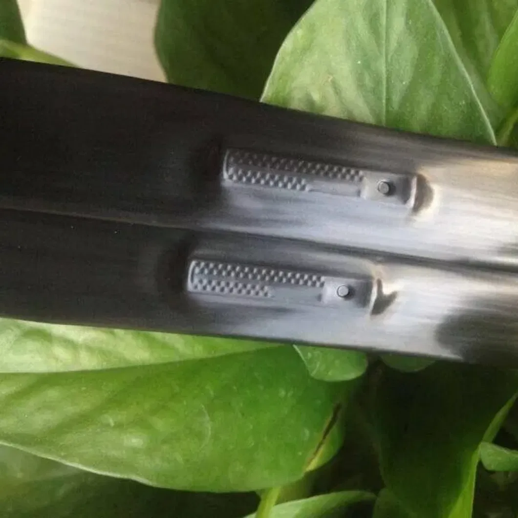 Durable PE Pipe for Drip Irrigation Helps Maintain Soil Humidity and Yield