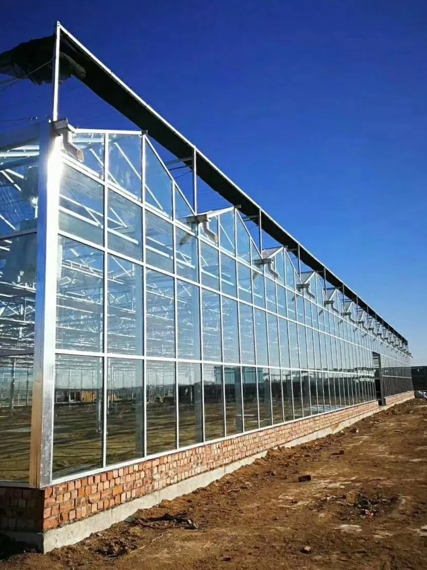 Corrosion-Resistant Hot-DIP Greenhouse Steel Pipehot DIP Galvanized Greenhouse Pipe, Galvanized Stee