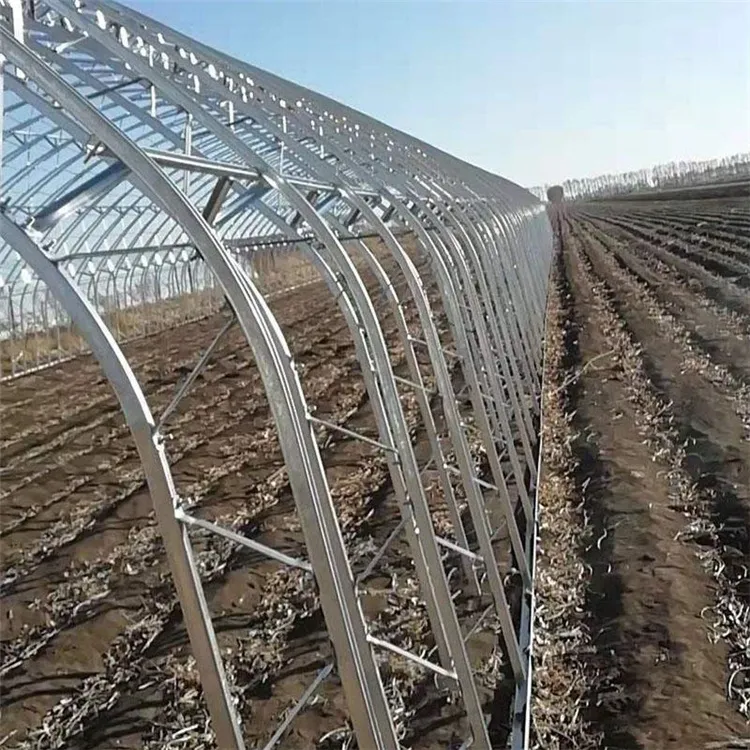 Durable C-Section Steel Greenhouse Structure for Optimal Plant Growth Durable C-Section Steel Greenhouse Structure for Optimal Plant Growth