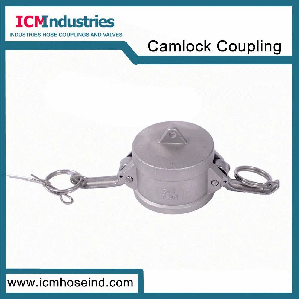 Stainless Steel/Aluminum/Brass/Aluminum/PP/Nylon Cam and Groove Fittings