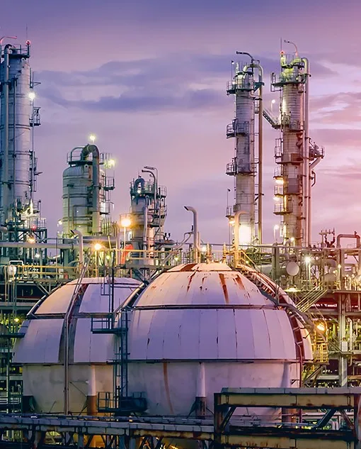 1CB (WD) Carbon Stainless Steel High Pressure Composite Pipe Connector Coupling Jic Hydraulic Hose Ferrule Fittings