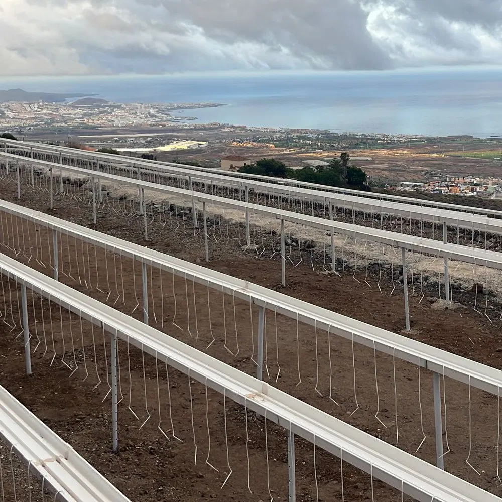 Hydroponic Nft Water Strawberry Gully Strawberry Gutter Grow System