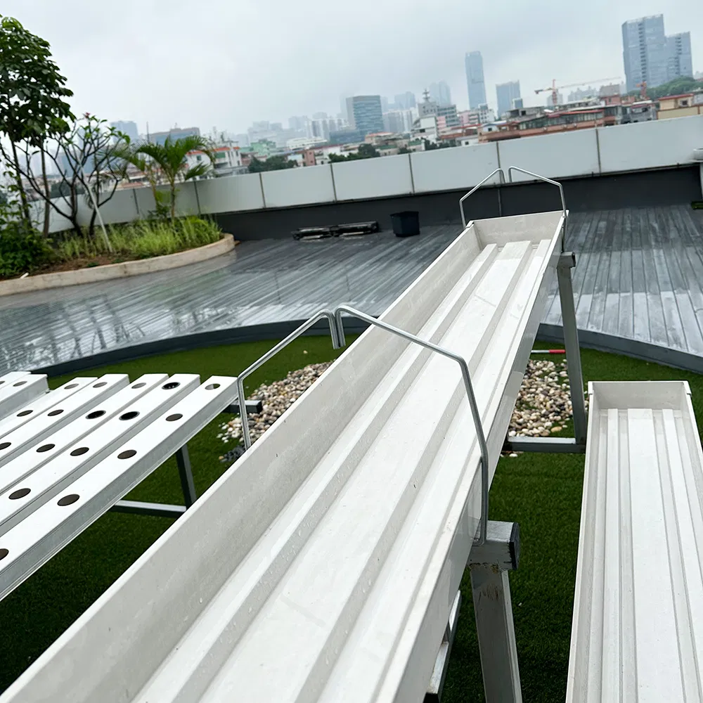 Tomato Strawberry Hydroponic Growing PVC Gutter Greenhouse System