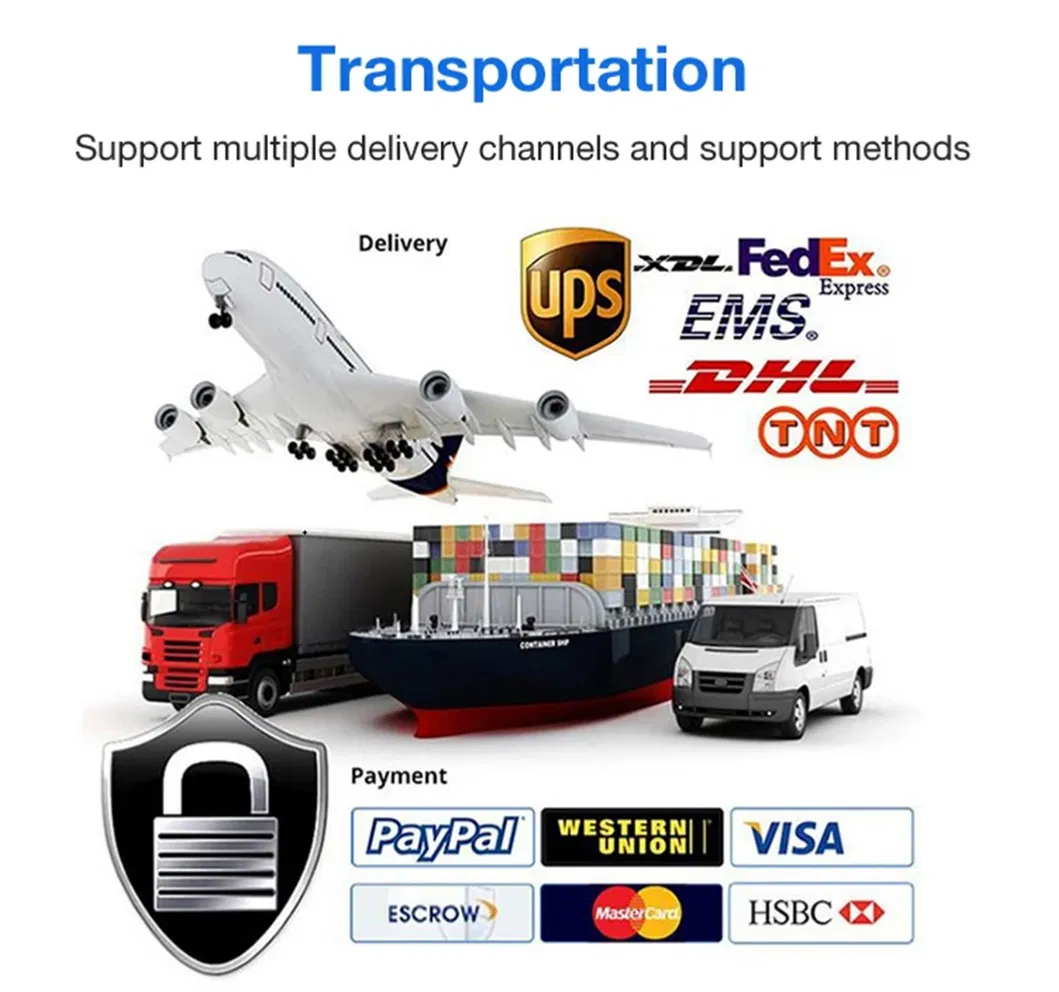 CE Certified Green PPR/PVC/PE Hot and Cold Water Pipes for Household Building Urban Water Supply