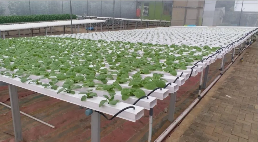 Vertical Hydroponics Greenhouse Systems Plastic Pipe for Hydroponic Nft PVC Channel Plant