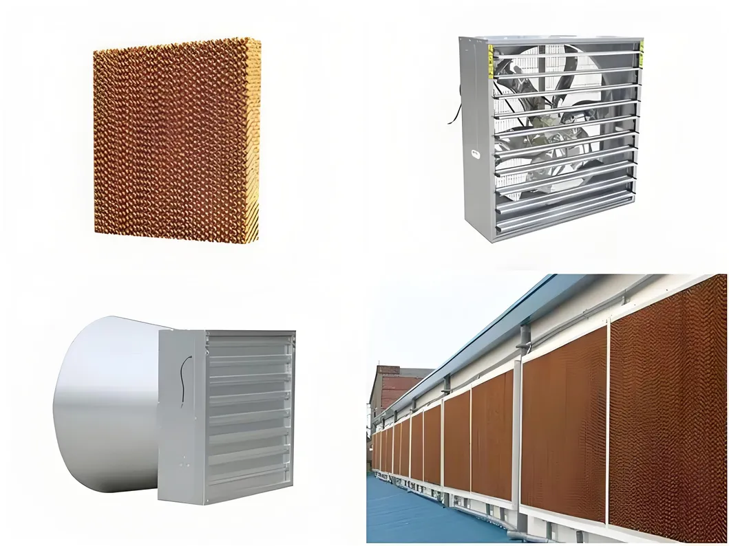 Greenhouse Glass Electric Greenhouse Machine Large Glass Smart PVC Garden Agricultural Greenhouses Glass Houses for Plants