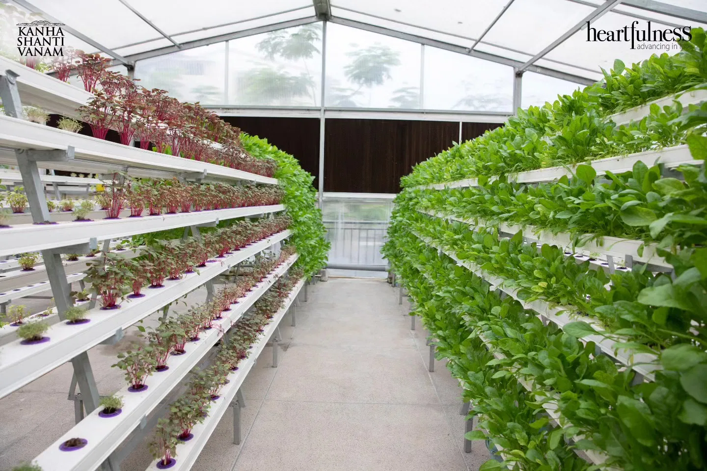 Wholesale Popular New Farm Hydroponic Lettuce Growing System Equipment PVC Gutter Pipe