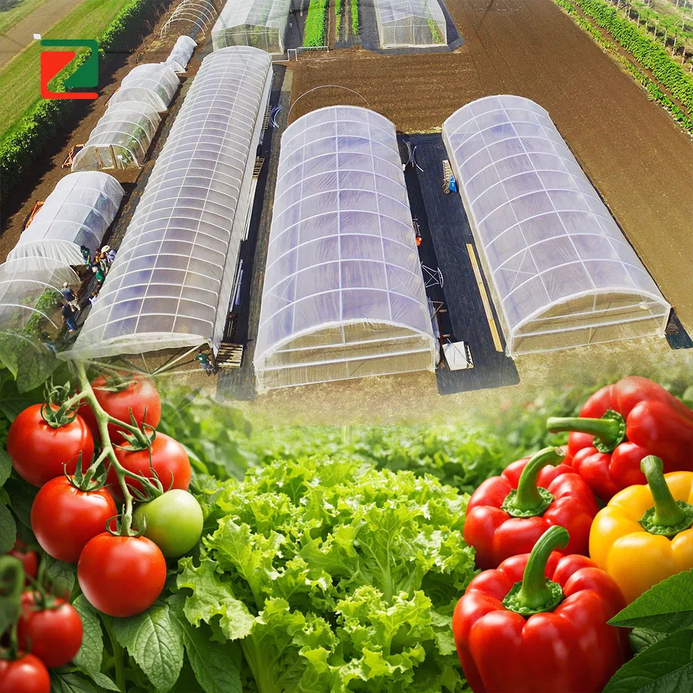 Oval Tube Greenhouse for Year-Round Plant Growth