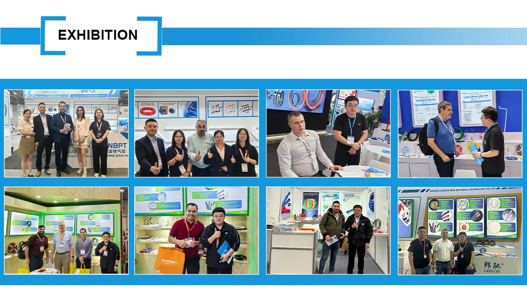 Anti Aging Long Service Life Flexible Nylon PA11 Tube PA11 Tubing