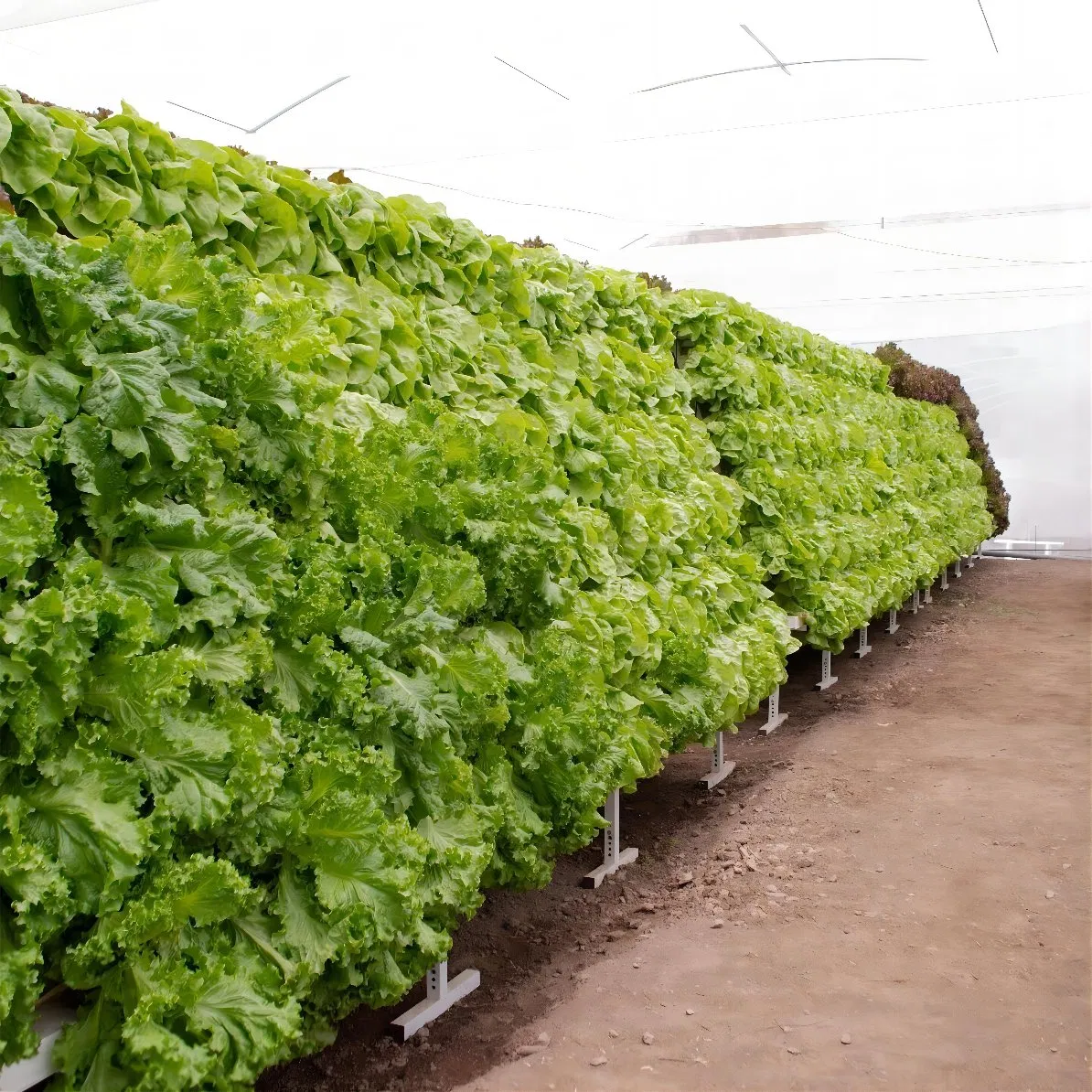 Aquaculture Equipment PVC Hydroponic Grow System Kit Vertical Garden Systems Nft Pipe