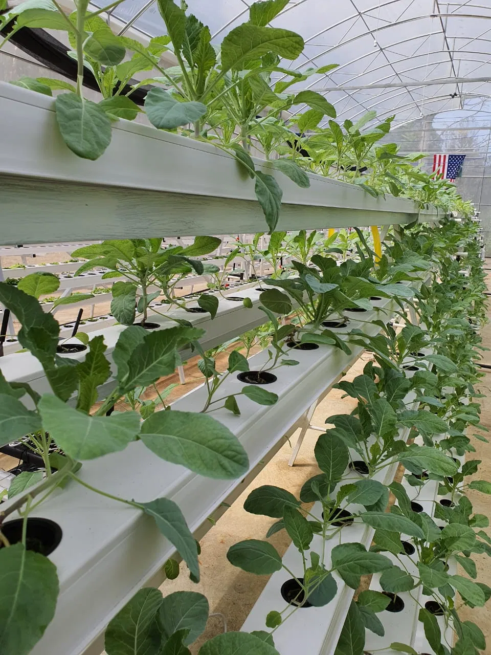 Hot Sale Plastic Agricultural Trays Greenhouse Pipes Channel Hydroponic Nft Growing System