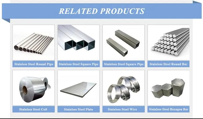 Stainless Steel Electrical Fitting Clamp Elbow Pipe