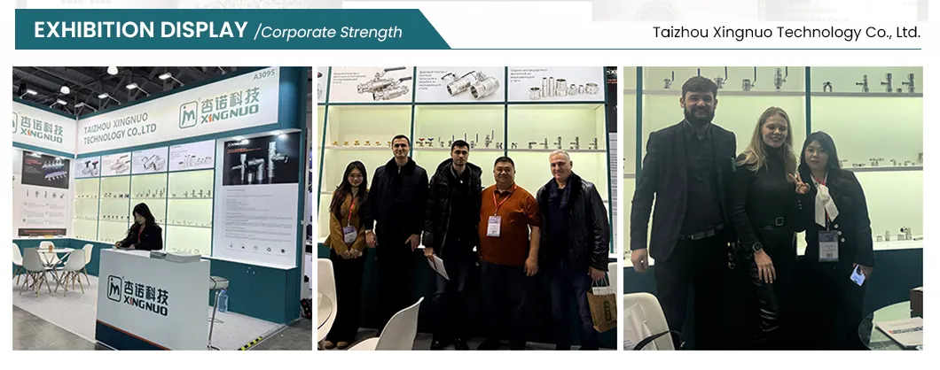 Stainless Steel Brass NPT/Bsp/DIN Tube Male Female Threaded Plumbing Metal Pipe Fittings/Fitting