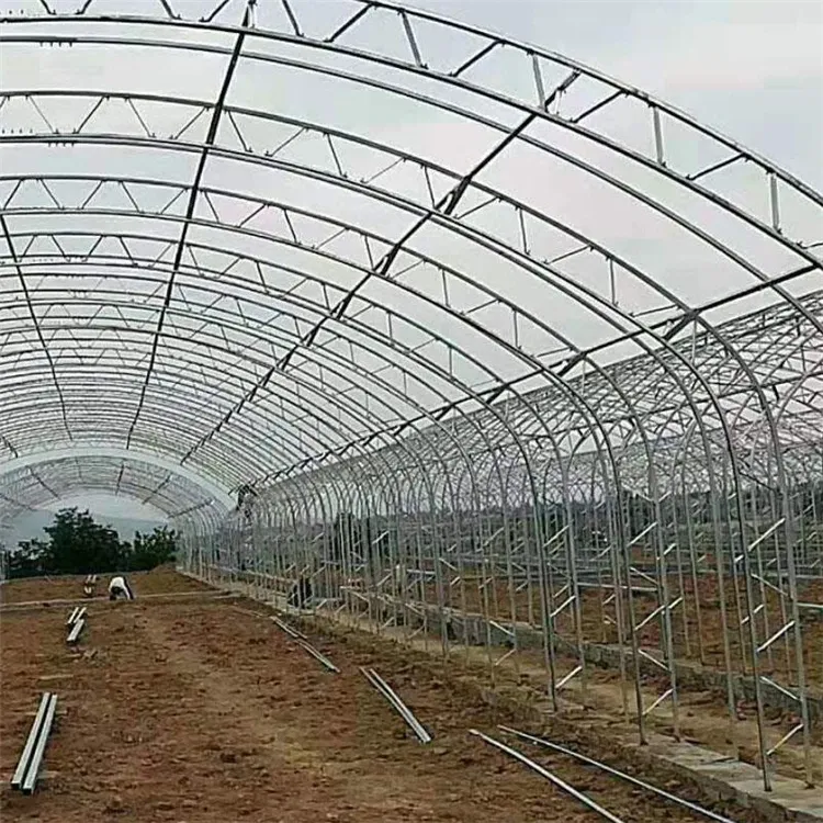 Versatile C-Shaped Steel Greenhouse for Home and Commercial Use