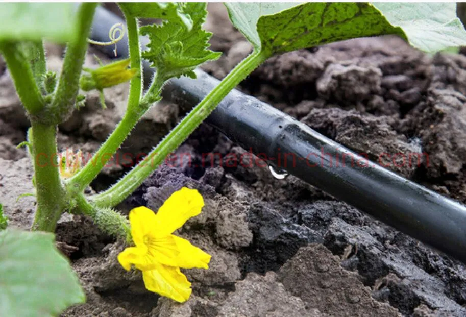 40m Micro Drip Irrigation Watering Adjustable Flow Dripper Atomizer System