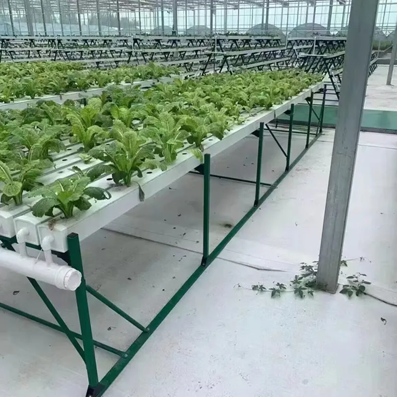 High Quality Greenhouse Pipe Manufacturer's Breeding Greenhouse Pipe Spot Connected Greenhouse Pipe Hot Selling