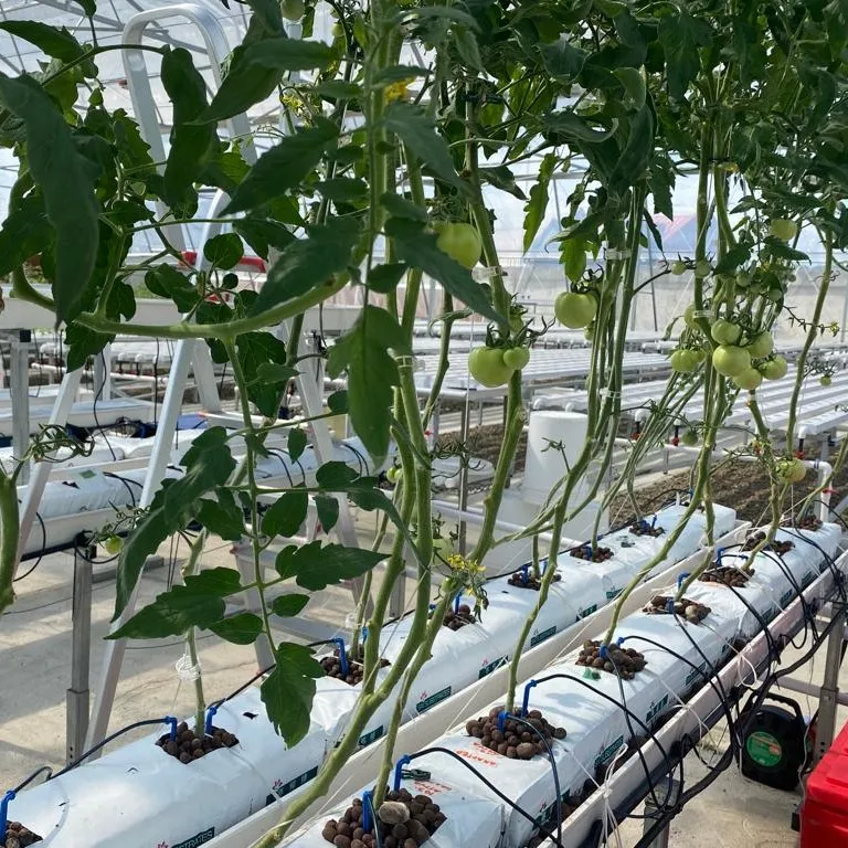 Vertical Hydroponic Planting Farming Automation Grow System
