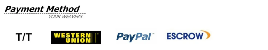 CPVC PVC PPR Plumbing Molding Brass Insert Pipe Socket Fitting