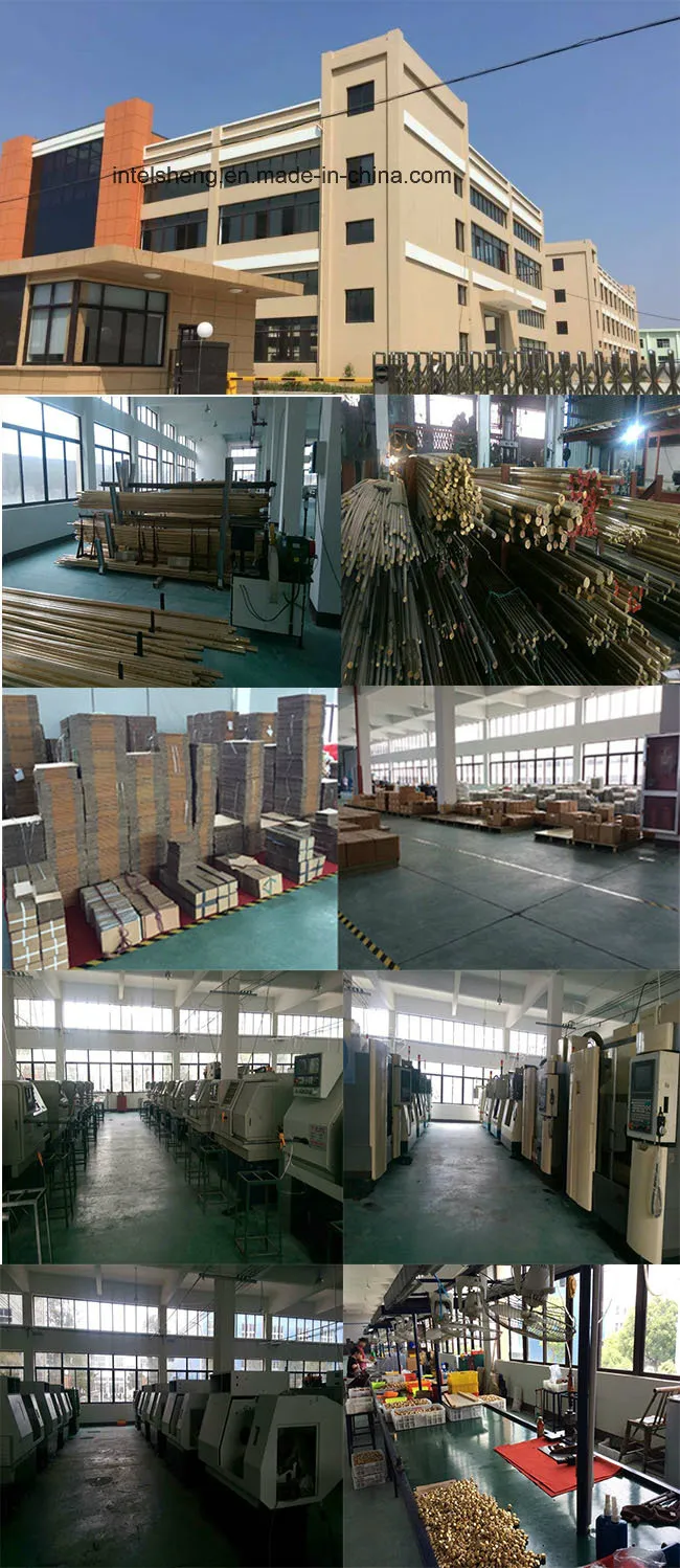 All Types of Water Meter Fitting, PPR Insert, Brass Pex Fitting, Push Fit Fitting Brass Joint Fitting