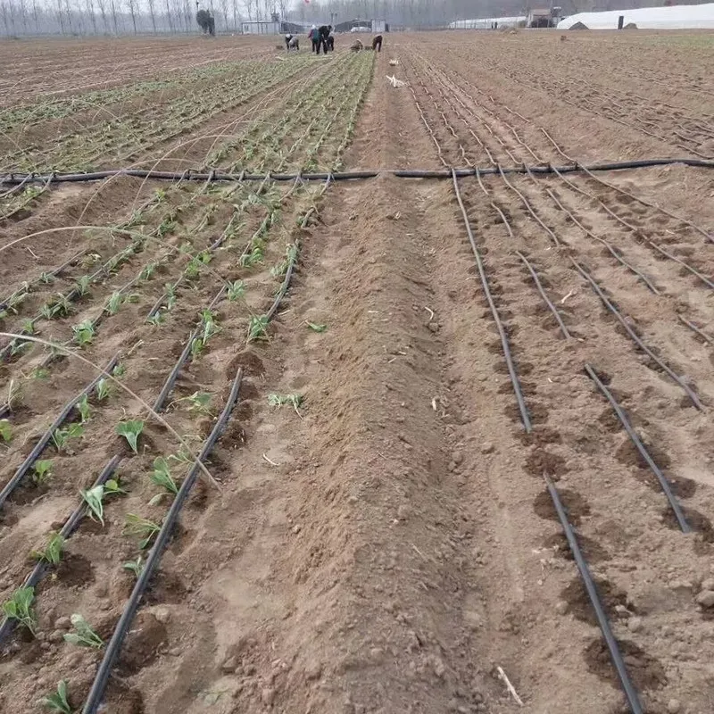 Drip Watering Irrigation Pipe Fitting Farm Greenhouse