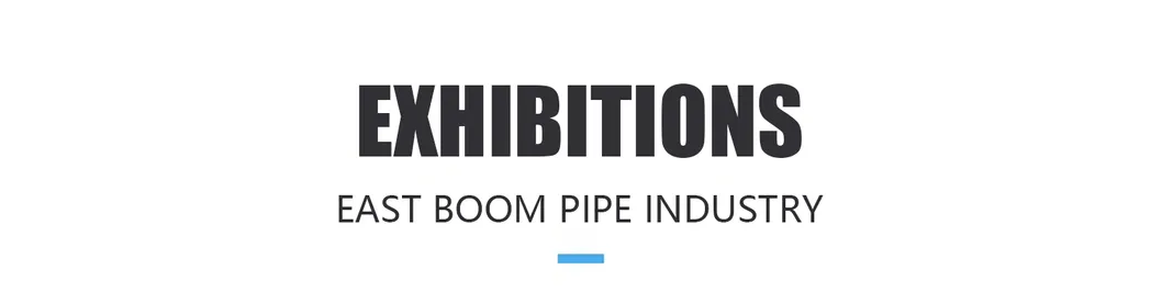 High Quality PVC 45 Degree Fitting for Plumbing and Water Supply