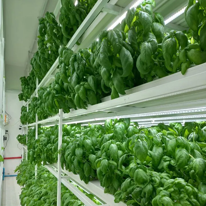 Popular Hydroponic Nft Channel Growing System PVC Gutter for Agricultural Greenhouse