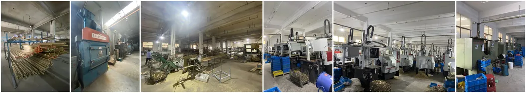 Brass Insert Fitting with Nickel Plated for PPR Pipe