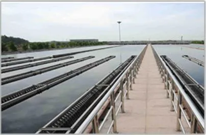 PE80/PE 100 PE Pipe PVC Pipe Polyethylene Pipe for Water Supply