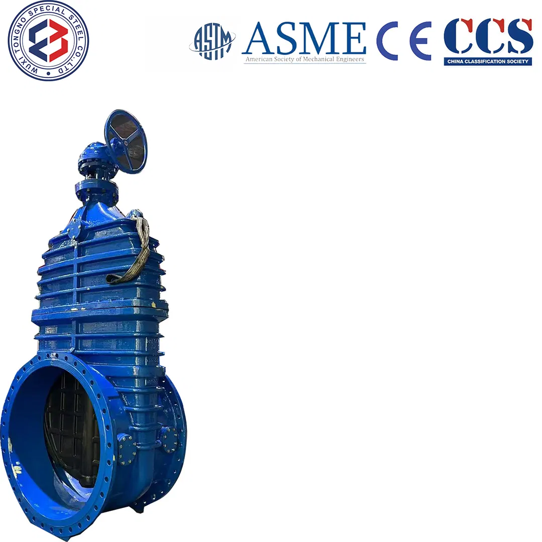 High-Performance Titanium Alloy Pipe Fittings Valve for Extreme Conditions Ta1, Ta2, Ta3, Ta7, Tc4,