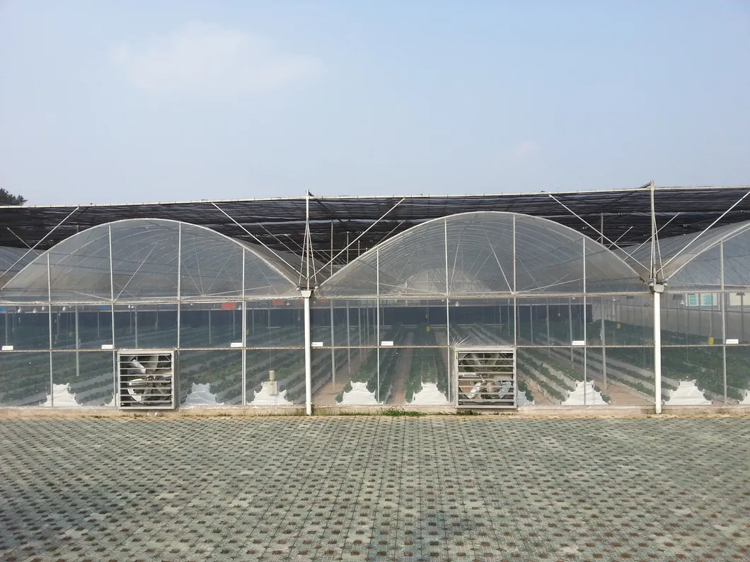 High Quality Greenhouse Pipe Manufacturer's Breeding Greenhouse Pipe Spot Connected Greenhouse Pipe Hot Selling