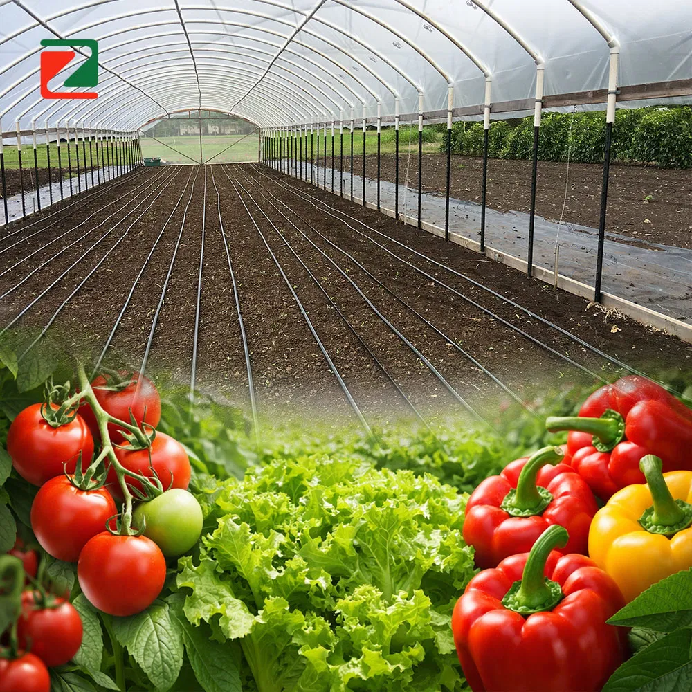 Durable Tunnel Greenhouse Film for Enhanced Plant Growth