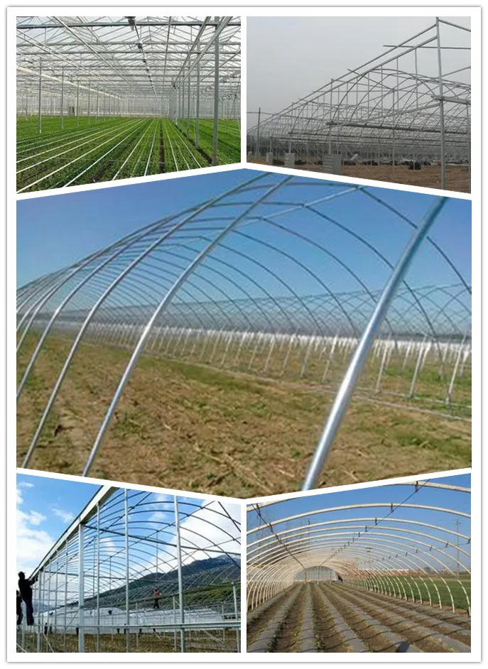 Round/Square/Rectangular Steel Pipe From Greenhouse