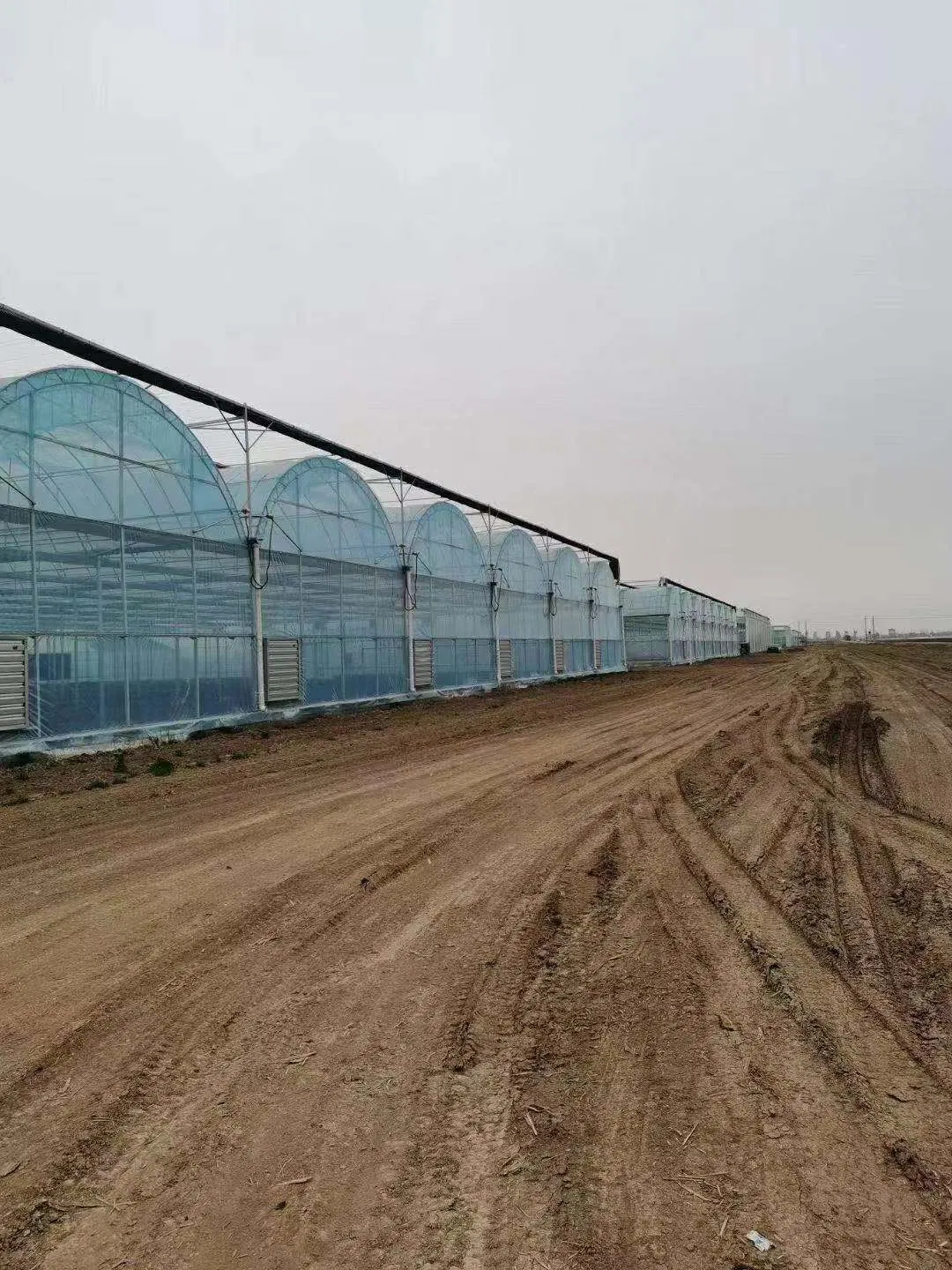 Mushroom Fixed Size Greenhouse Pipes, Edible Mushroom Greenhouse Pipes, Complete Accessories, and Co