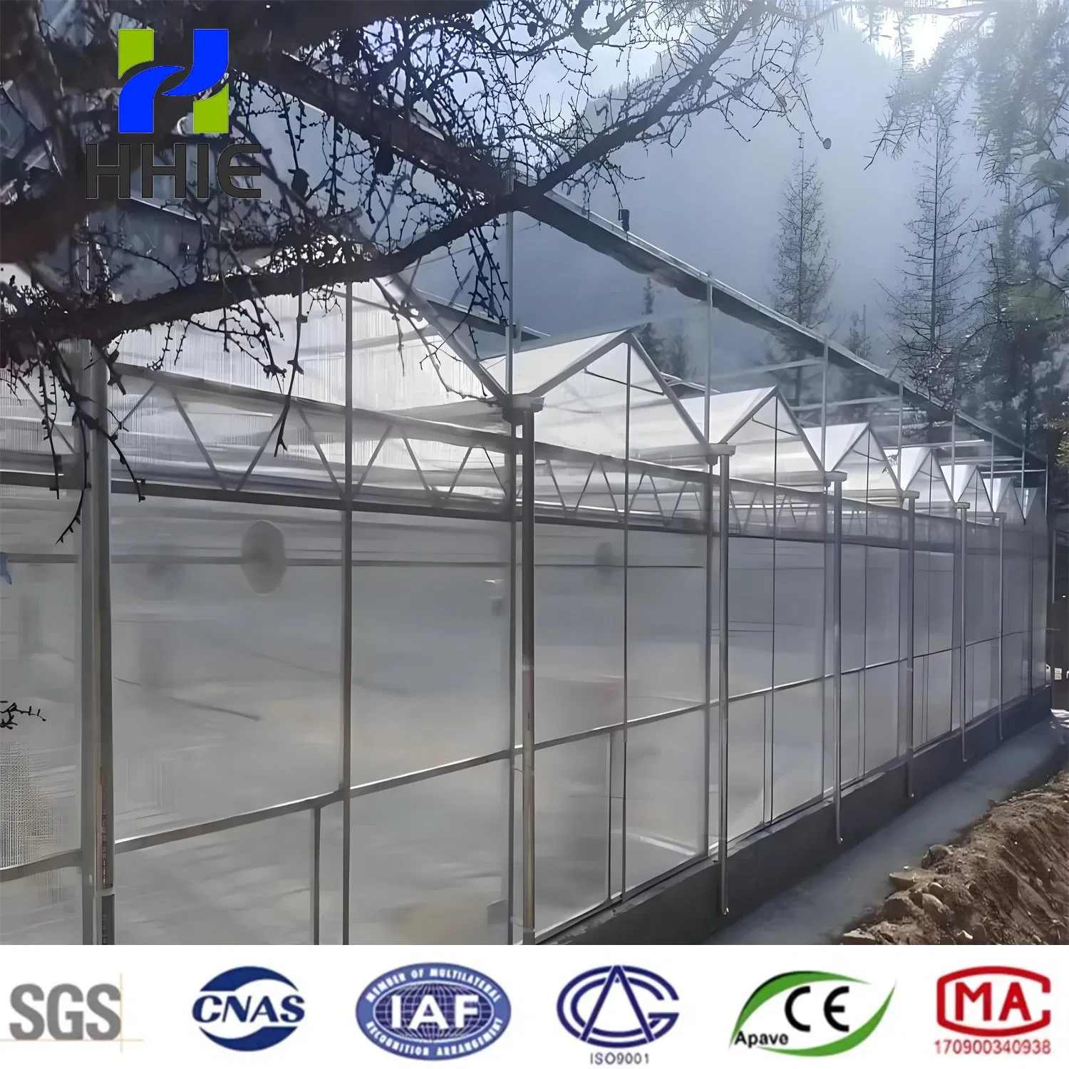 Greenhouse Glass Electric Greenhouse Machine Large Glass Smart PVC Garden Agricultural Greenhouses G