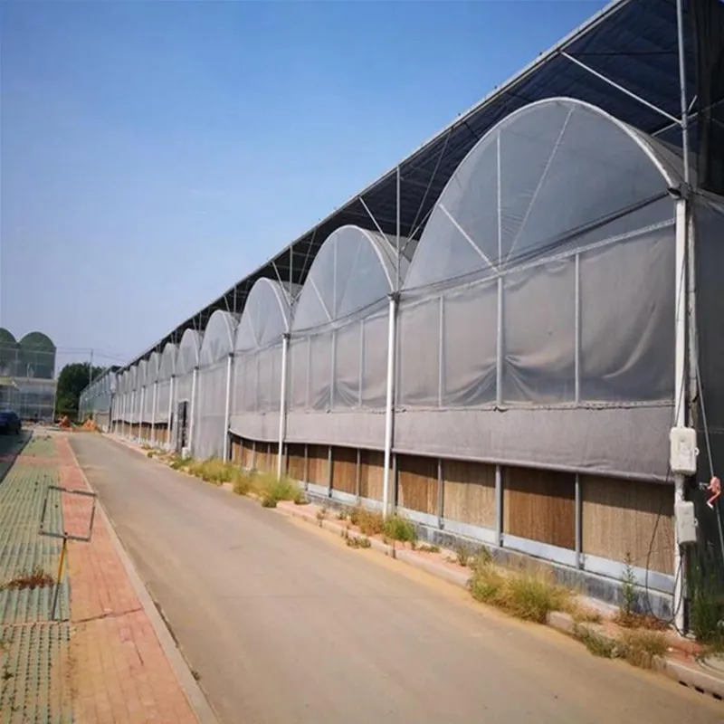 High Quality Greenhouse Pipe Manufacturer's Breeding Greenhouse Pipe Spot Connected Greenhouse Pipe Hot Selling