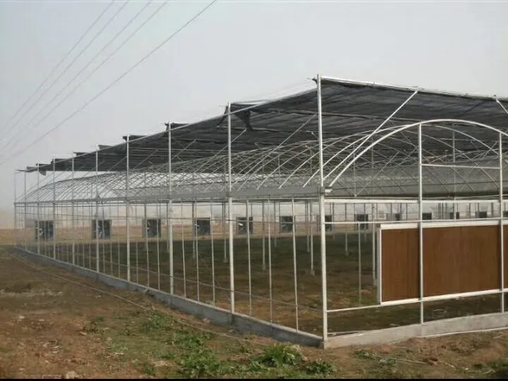 High Quality Greenhouse Pipe Manufacturer's Breeding Greenhouse Pipe Spot Connected Greenhouse Pipe Hot Selling