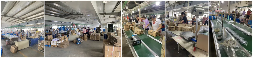 Brass Insert Fitting with Nickel Plated for PPR Pipe