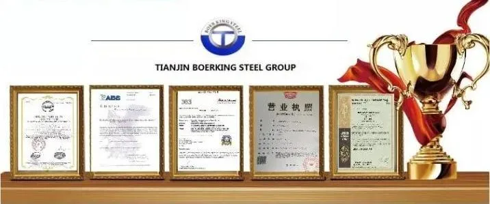 JIS Alloy Seamless Hollow Steel Pipe SUS 304 316 904L Steel Tube for Pharmaceutical