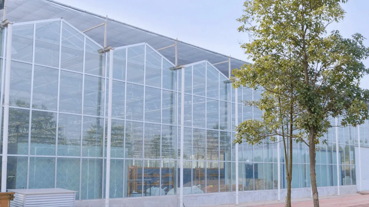 Free on-Site Guidance of 4 Points, 6 Points, 8 Points and 1 Inch Steel Pipe for Intelligent Greenhou