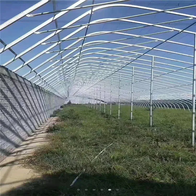 Versatile Single-Span Film Greenhouse with Optional Irrigation System