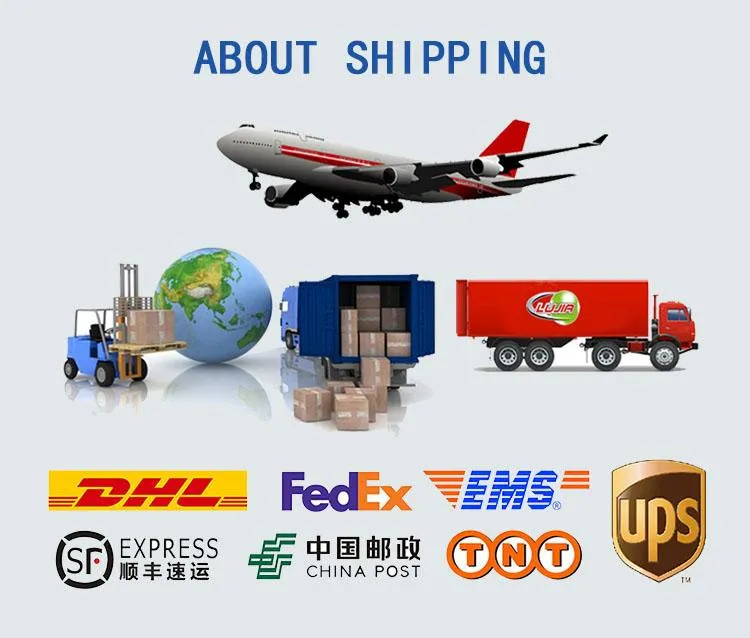 CAT6 UTP Bulk Cable with Outdoor Cmx/Cm/Cmg Verified.