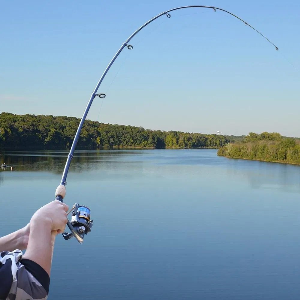 High Quality Good Price Long Life Carbon Fiber Rods and Tube