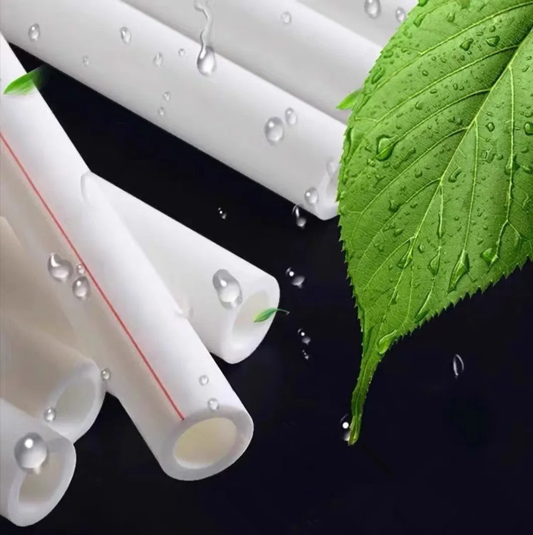 20-110mm Diameter Polypropylene Random Copolymer PPR Plastic S4 Pn16 Cold Water Pipe