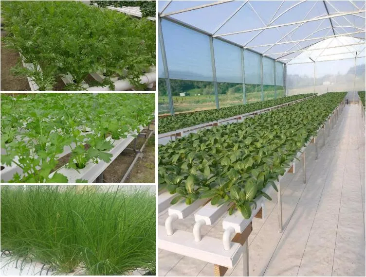 Aquaculture Equipment PVC Hydroponic Grow System Kit Vertical Garden Systems Nft Pipe