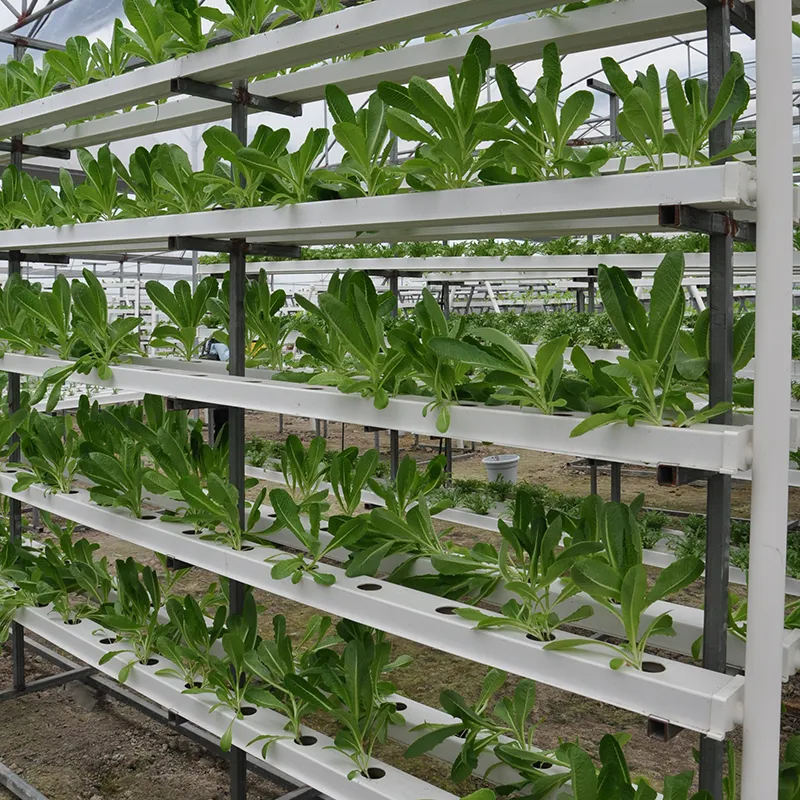 Popular Hydroponic Nft Channel Growing System PVC Gutter for Agricultural Greenhouse