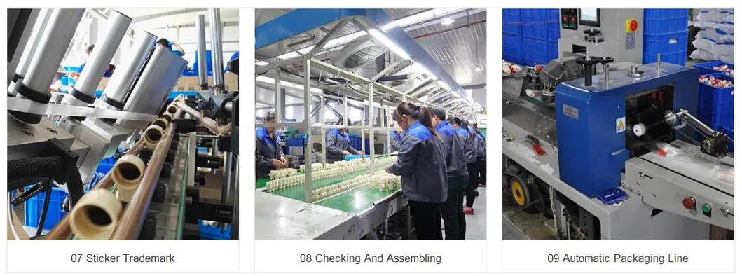 Tianyan Standard GB/T 5836.2 Socket Vent Cowl of PVC-U Plastic Drainage Pipe Fittings with OEM