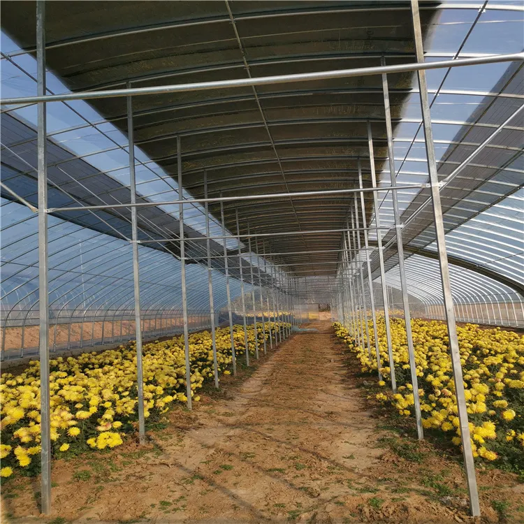 Versatile C-Shaped Steel Greenhouse for Home and Commercial Use