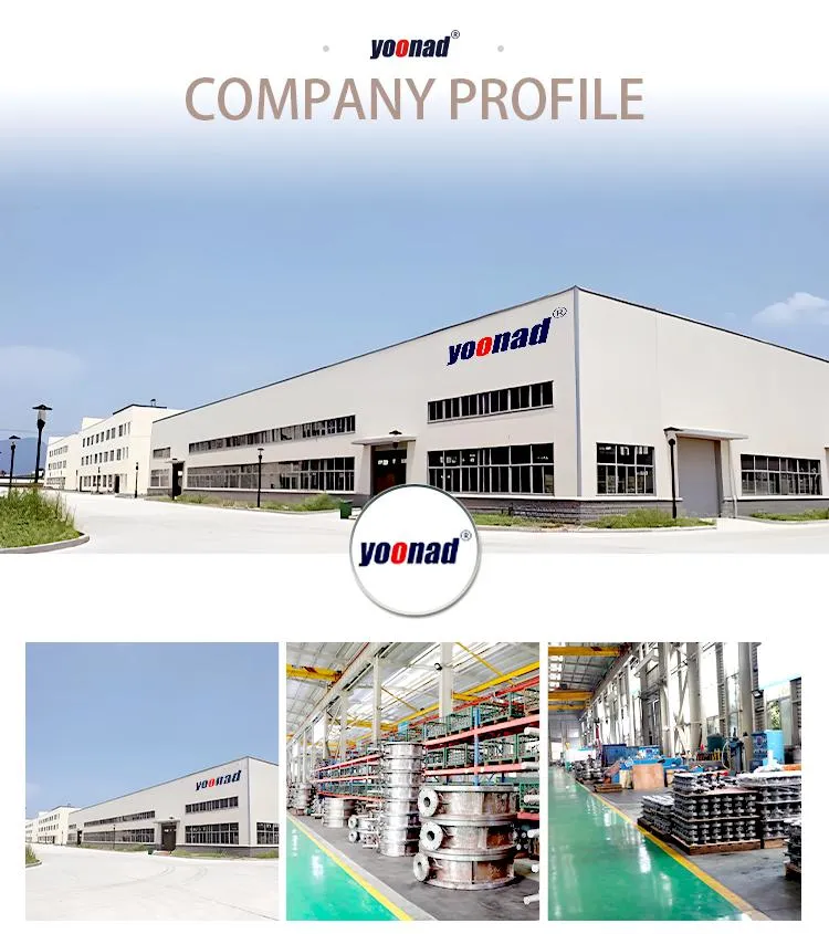 Corrosion-Resistant and High-Pressure, DN20/500 The Best Choice for Water and Gas Supply, High Quality and Low Price Phh Pipe Fittings