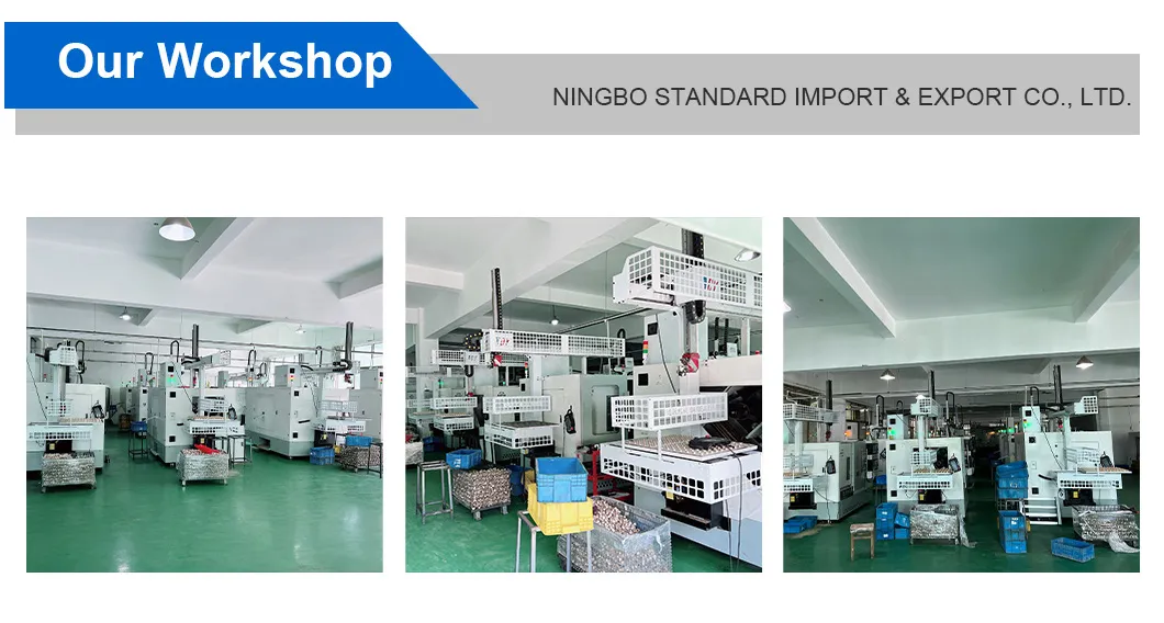 PPR Fittings with Strong Brass Insert PPR Insert and PVC Insert for Water Distribution